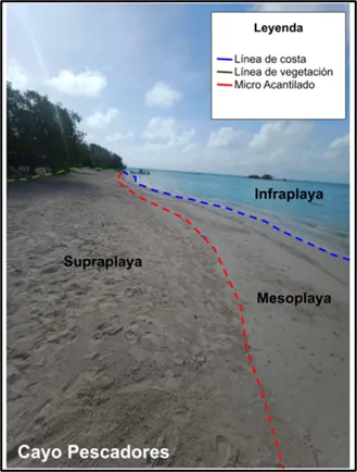Los rostros cambiantes de las playas de Morrocoy Analisis de perfiles costeros 8