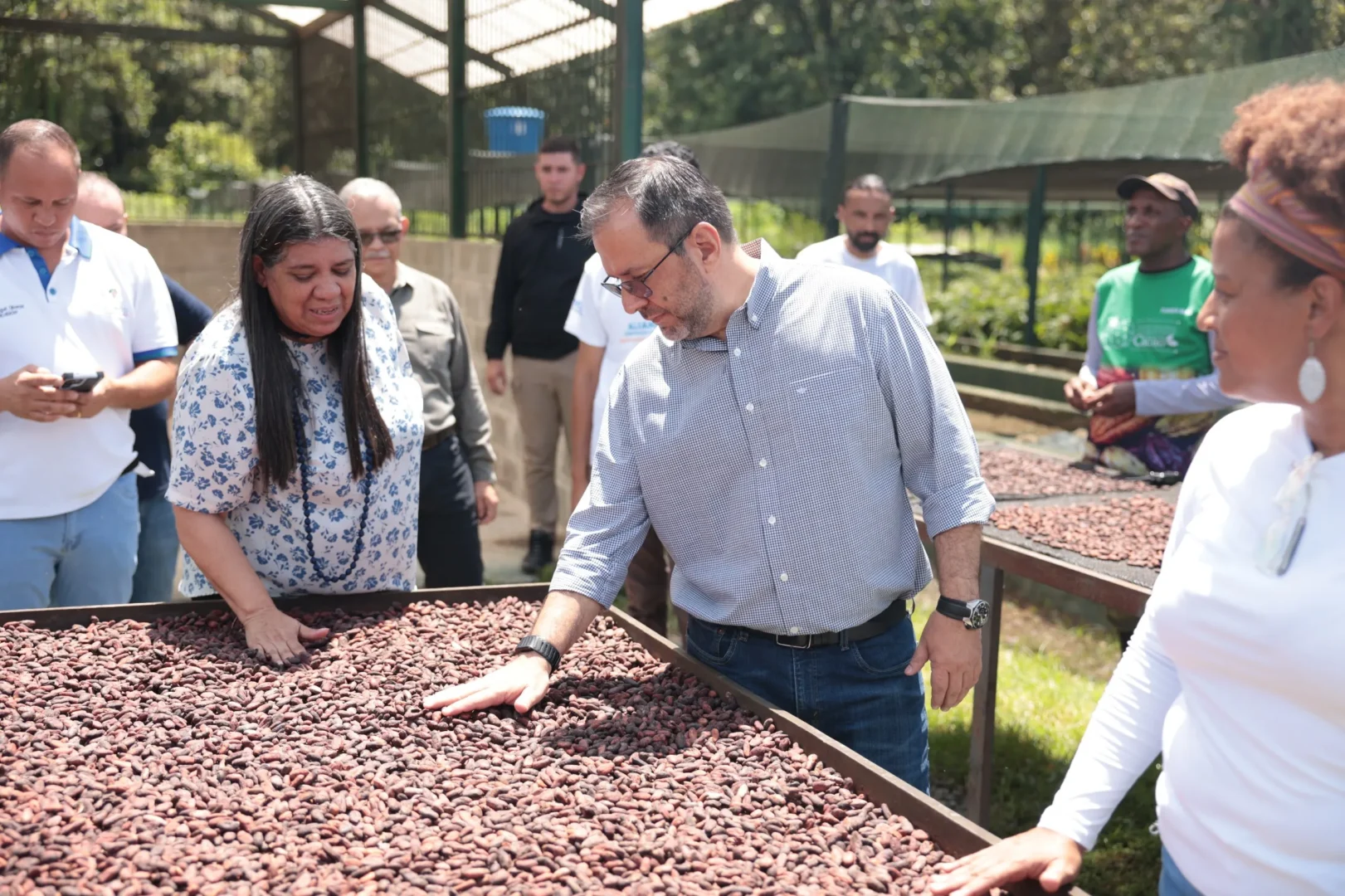 Alianza Cientifico Campesina fortalece el sector cacaotero de Miranda con la entrega de material vegetal e inspeccion tecnica 5