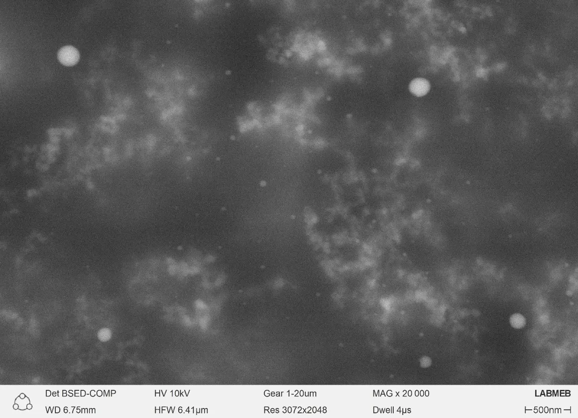 Análisis Morfológico de Nanocompuesto Sílice/Celulosa Derivado de Cascarilla de Arroz Mediante Microscopía Electrónica de Barrido (MEB) 2 Analisis Morfologico de Nanocompuesto SiliceCelulosa Derivado de Cascarilla de Arroz Mediante Microscopia Electronica de Barrido MEB 6