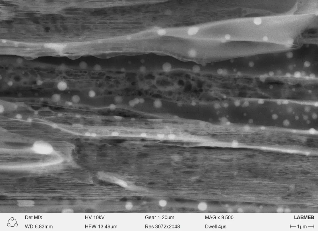 Análisis Morfológico de Nanocompuesto Sílice/Celulosa Derivado de Cascarilla de Arroz Mediante Microscopía Electrónica de Barrido (MEB) 6 Analisis Morfologico de Nanocompuesto SiliceCelulosa Derivado de Cascarilla de Arroz Mediante Microscopia Electronica de Barrido MEB 7