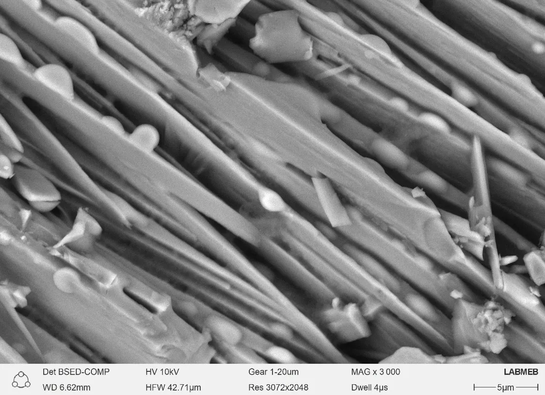 Análisis Morfológico de Nanocompuesto Sílice/Celulosa Derivado de Cascarilla de Arroz Mediante Microscopía Electrónica de Barrido (MEB) 4 Analisis Morfologico de Nanocompuesto SiliceCelulosa Derivado de Cascarilla de Arroz Mediante Microscopia Electronica de Barrido MEB 8