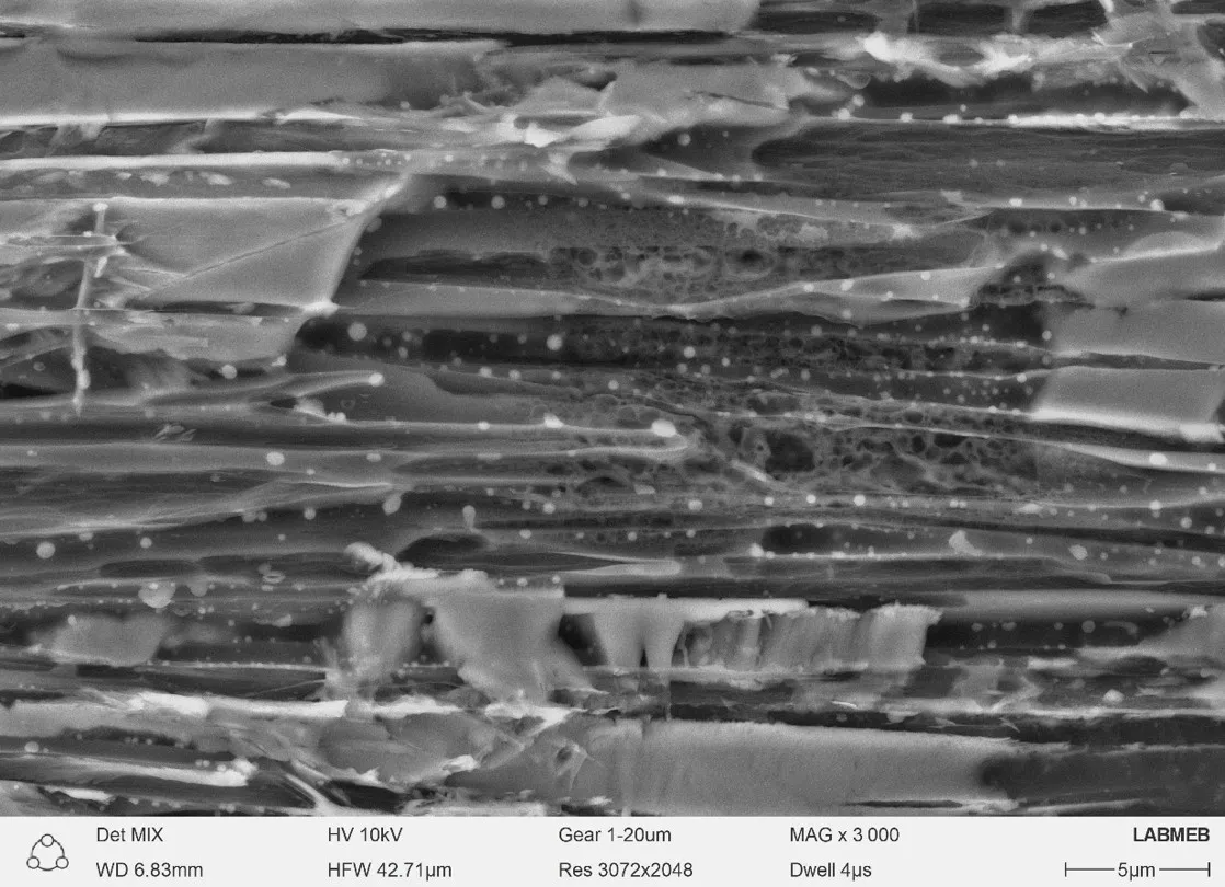 Análisis Morfológico de Nanocompuesto Sílice/Celulosa Derivado de Cascarilla de Arroz Mediante Microscopía Electrónica de Barrido (MEB) 5 Analisis Morfologico de Nanocompuesto SiliceCelulosa Derivado de Cascarilla de Arroz Mediante Microscopia Electronica de Barrido MEB 9