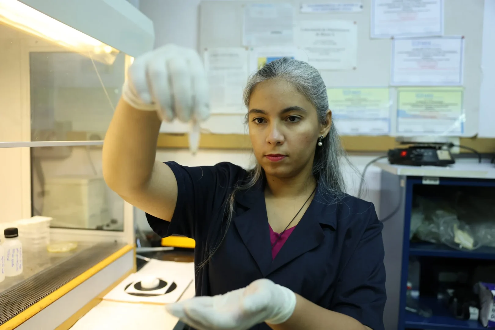 Geoquimica venezolana aplica la fisica nuclear para el estudio y preservacion de los ecosistemas