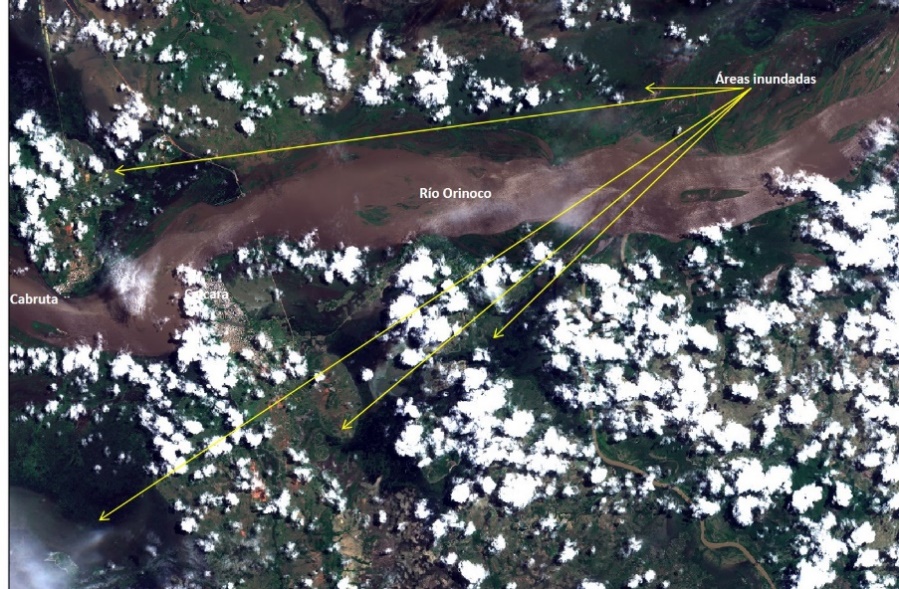 Fig. 3: Satélite Landsat-8  tomada el 02/08/2017. Resolución espacial: 30 m. Río Orinoco, Caicara, tercer puente. Las flechas indican las áreas inundadas.