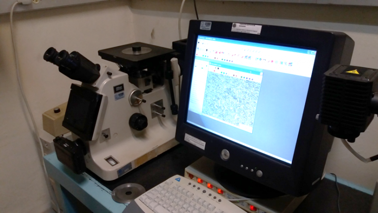 Microscopio Optico acoplado a un sistema de Analisis de imagenes