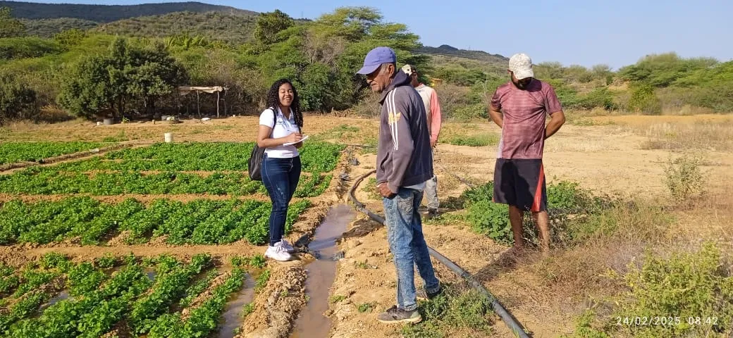 Falcón| Mincyt acompaña a productores de Caujarao en ejecución de proyectos 1 Falcon Mincyt acompana a productores de Caujarao en ejecucion de proyectos 3
