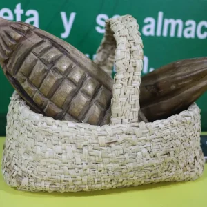 Inaugurado Centro Didáctico para la Enseñanza de la Ciencia en Aragua (14)