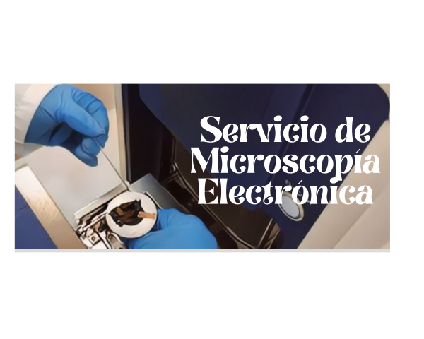 microscopia