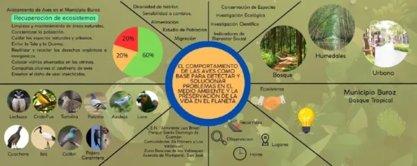 Poster Olimpiadas 2