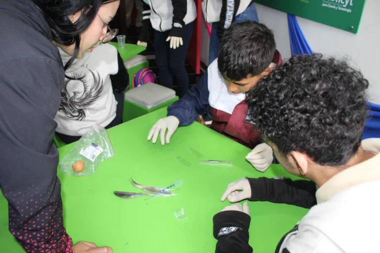 Visita de los ganadores de las olimpiadas (10)_3_11zon
