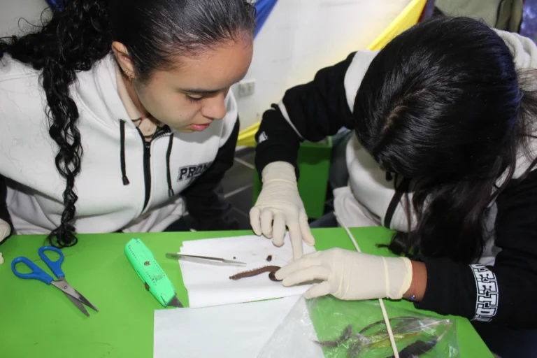 Visita de los ganadores de las olimpiadas (23)_16_11zon
