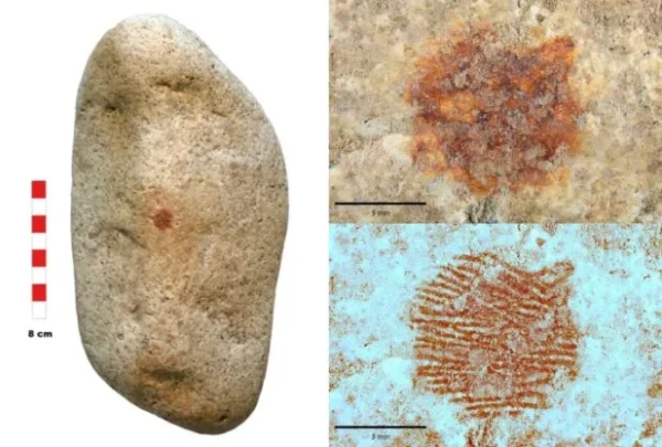 Yacimiento arqueológico con huella Neandertal es afectado por basura
