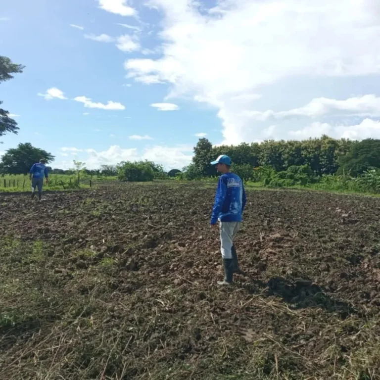 Alianza Científico-Campesina brinda asesoría especializada a productores de Apure 4 photo_5_2025-07-21_16-48-35_11zon