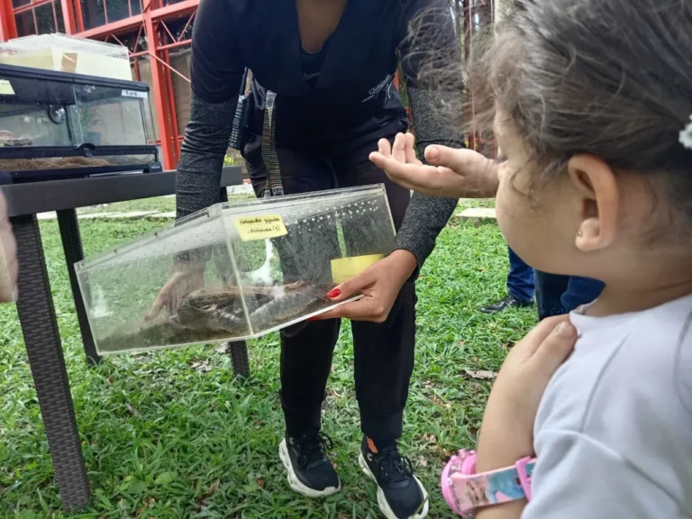 visita de la embajada cubana (25)
