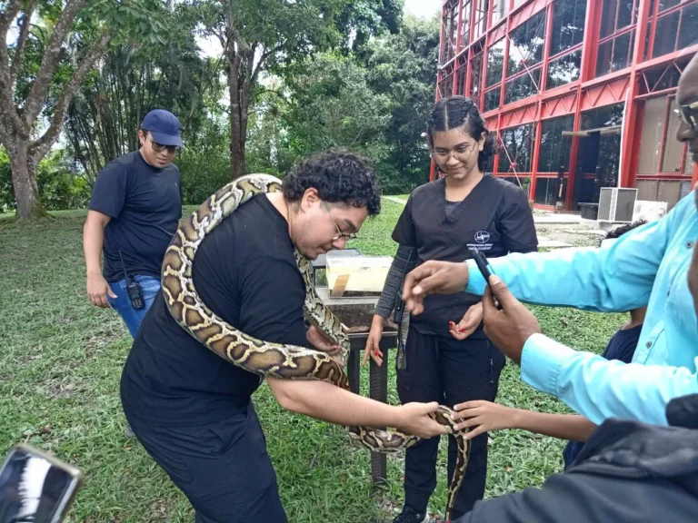 visita de la embajada cubana (27)