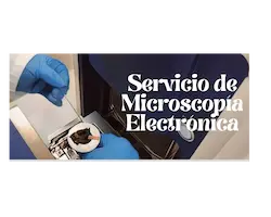 microscopia electronica fii analisis materiales venezuela