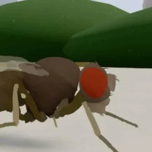Noticias internacionales 4 ¿SABIAS QUE Cientificos digitalizaron el cerebro de una mosca un hito que cambio la neurociencia para siempre 2