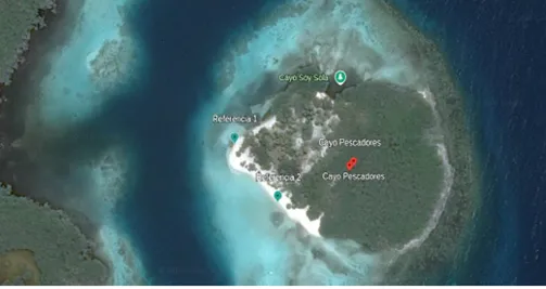 Los rostros cambiantes de las playas de Morrocoy Analisis de perfiles costeros 5