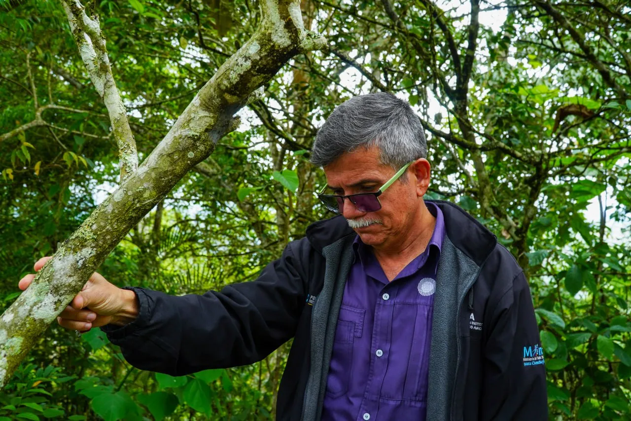 Soberania agroalimentaria Fundacion IDEA capacita a productores mirandinos en tecnicas eficientes de clonacion vegetal 6