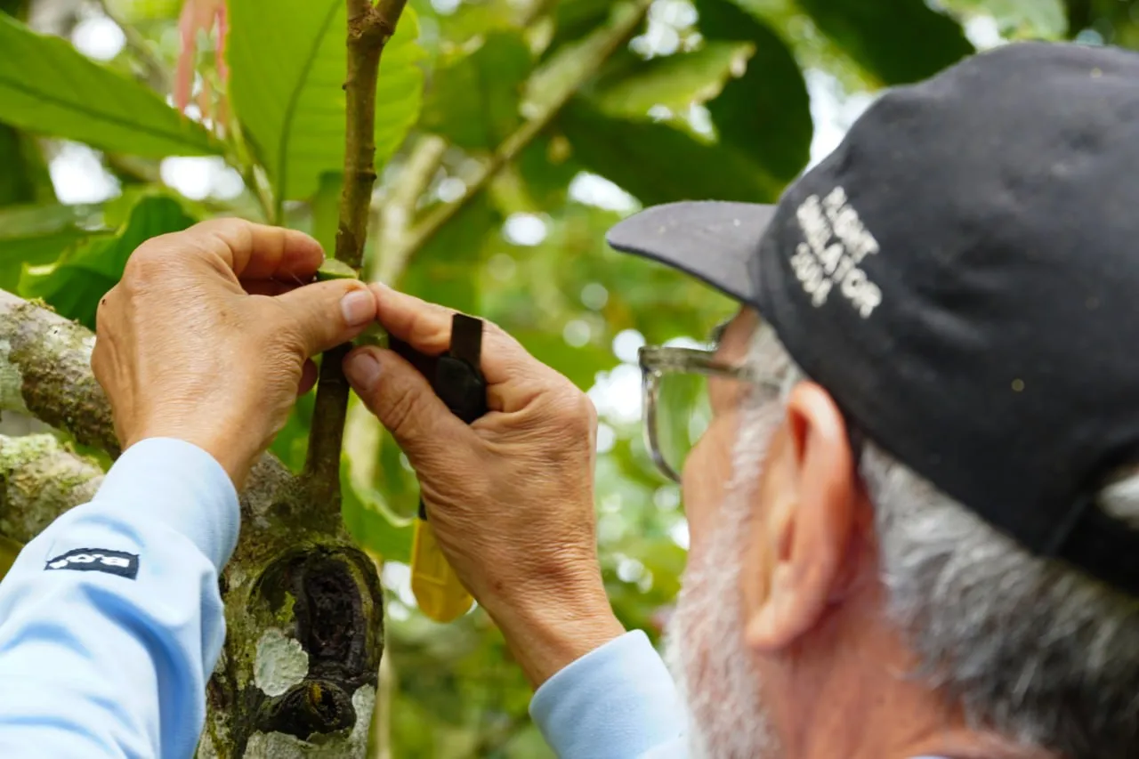 Soberania agroalimentaria Fundacion IDEA capacita a productores mirandinos en tecnicas eficientes de clonacion vegetal 7