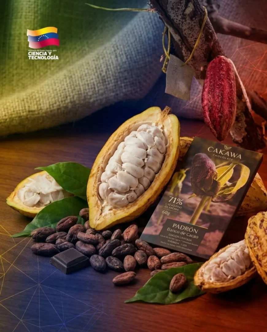 ¡El cacao venezolano renace con excelencia y conquista París! 3 ¡El cacao venezolano renace con excelencia y conquista Paris 3