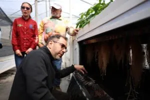 Ministro Yvan Gil Pinto inspecciono avances biotecnologicos en la produccion nacional de semillas desde el estado Merida 1