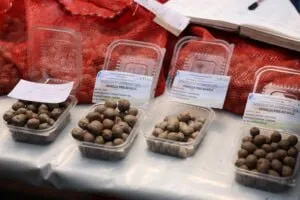 Ministro Yvan Gil Pinto inspecciono avances biotecnologicos en la produccion nacional de semillas desde el estado Merida 3