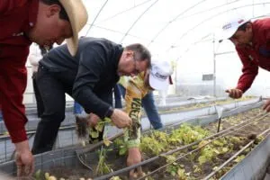 Ministro Yvan Gil Pinto inspecciono avances biotecnologicos en la produccion nacional de semillas desde el estado Merida 5