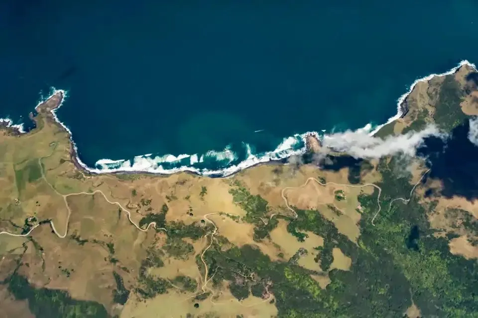 El Pacifico se vuelve mas azul Detectan una alarmante disminucion del fitoplancton por el fenomeno de El Nino 3